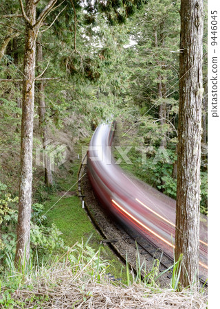 Forest railway Forest railway 9446045