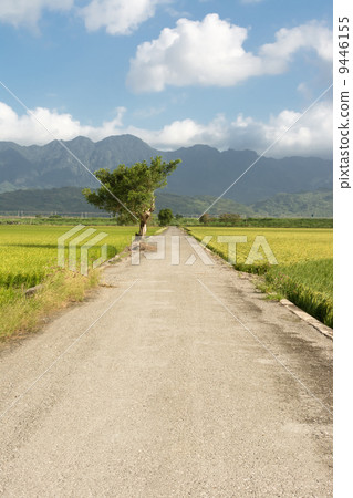 road and farm road and farm 9446155