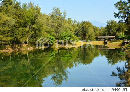 Pipa lake Pipa lake 9446465