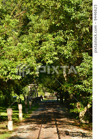 Railway through forest Railway through forest 9446625