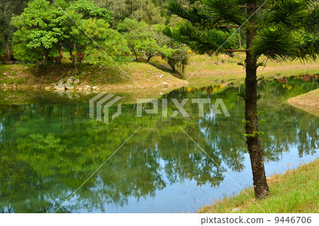 Pipa lake 9446706