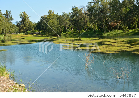 Pipa lake Pipa lake 9447857
