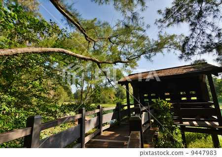 Taitung Forest Park 9447983