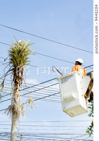 Electrician worker in cherry picker solve palm leaf and protect Electrician worker in cherry picker solve palm leaf and protect 9448284