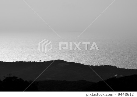 View from the hill on the sea 9448612