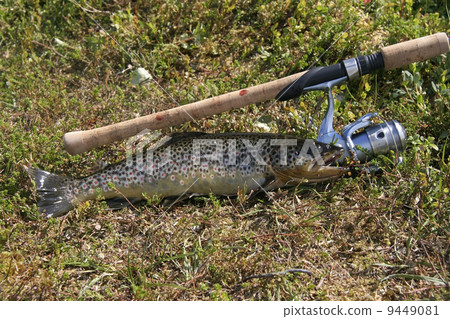 Fishing Fishing 9449081