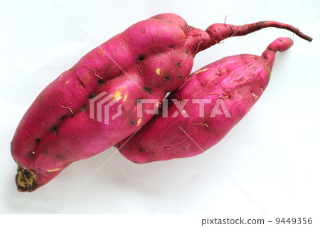 Sweet potato Sweet potato 9449356