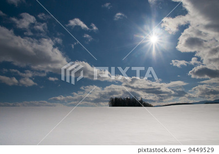 Snowy field 9449529