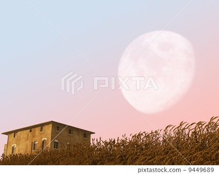 大月 大月 9449689