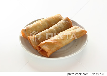 Spring Rolls 9449731