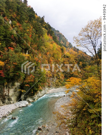 Shihei Shihei 9449942