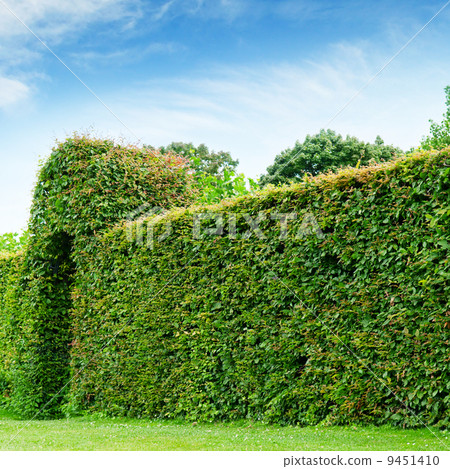 green fence in a summer park and blue sky green fence in a summer park and blue sky 9451410