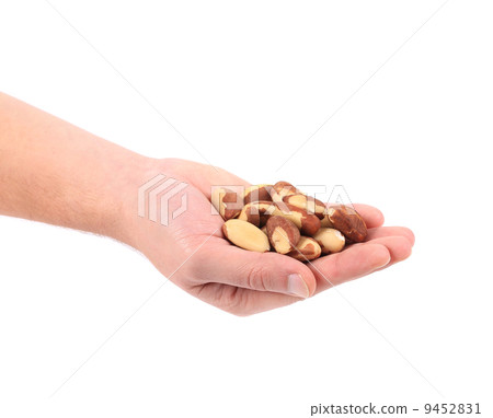 Shelled peanuts in the hand Shelled peanuts in the hand 9452831