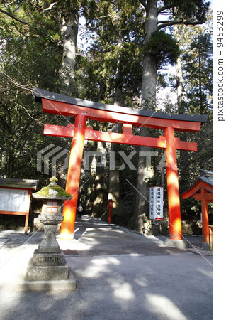 箱根神社（箱根町） 9453299