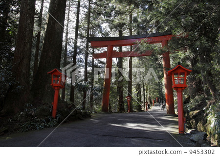 箱根神社（箱根町） 9453302