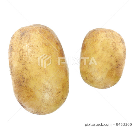 potato isolated on white background 9453360