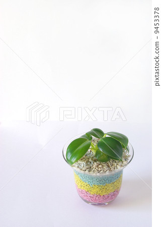 Hydroculture of color zeolite Hydroculture of color zeolite 9453378