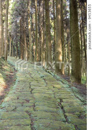 Cobbled stone dragon Mojisaka in cedar forest 9453655