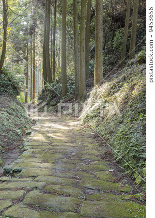 Cobbled stone dragon Moon slope with sunlight through the sun 9453656