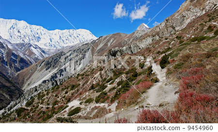 mountain, himalaya, the himalayas 9454960