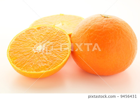 紅色瘋狂 9456431