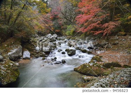 Mountain stream of Odaseyama (long exposure) 9456823