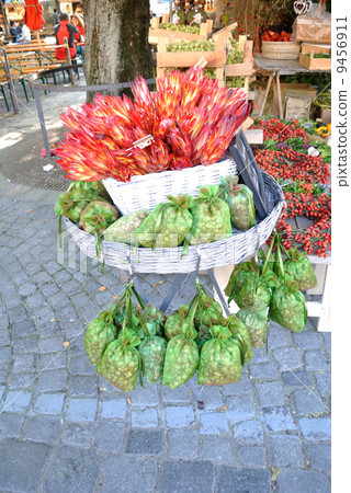 啤酒花銷售攤位(德國慕尼黑維克多·阿里恩廣場的藍天市場) 啤酒花銷售攤位(德國慕尼黑維克多·阿里恩廣場的藍天市場) 9456911