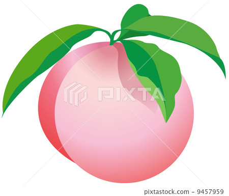 peach  9457959