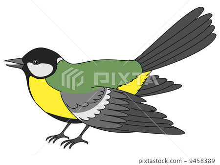 Bird a titmouse 9458389