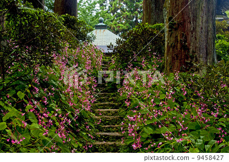 來自Iwaoji的Shukidou 來自Iwaoji的Shukidou 9458427