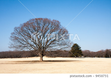 Showa Kinen Park 9458731
