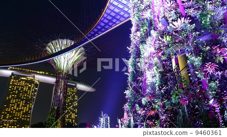 Marina Bay Sands over the super tree Marina Bay Sands over the super tree 9460361