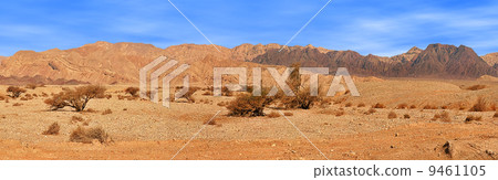 Red mountains in Timna park. 9461105