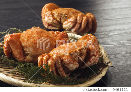 Hair crab 9461121