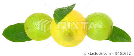 Fresh limes and lemons. Fresh limes and lemons. 9461652