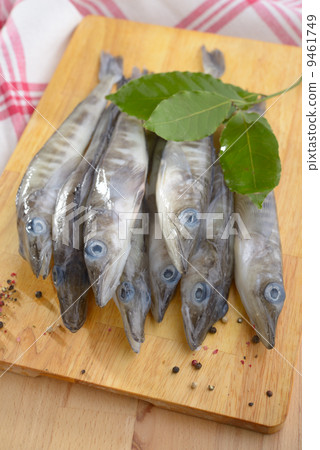 Raw ice fish 9461749