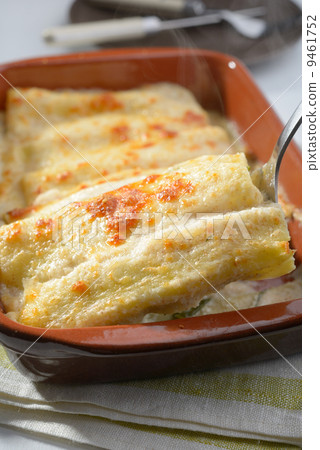 Cannelloni 9461752