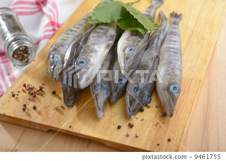 Raw ice fish 9461755