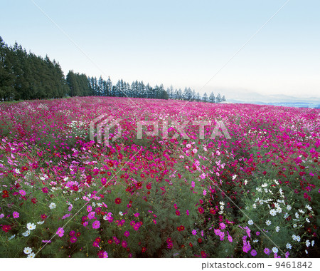 生駒高原 9461842