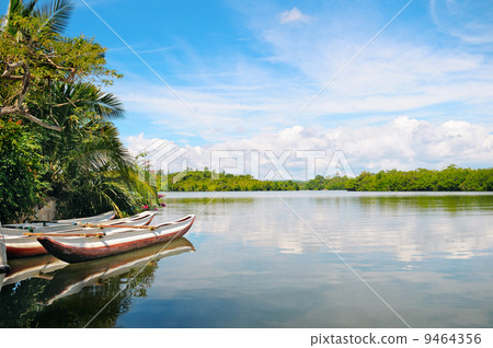 River, rainforest and pleasure boats 9464356