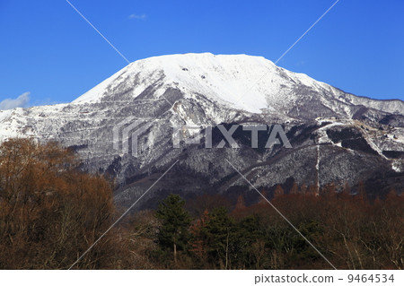 Ibukiyama early winter 9464534