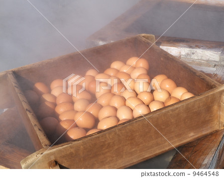 Hell steamed egg 9464548