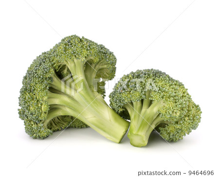 Broccoli vegetable Broccoli vegetable 9464696