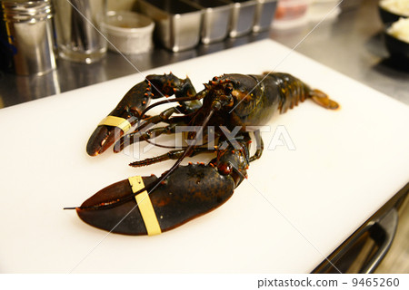 lobster lobster 9465260