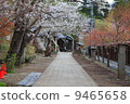 Mountain path 9465658