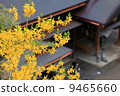 Mountain temple 9465660