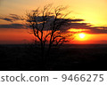 Fuji and sunset 9466275