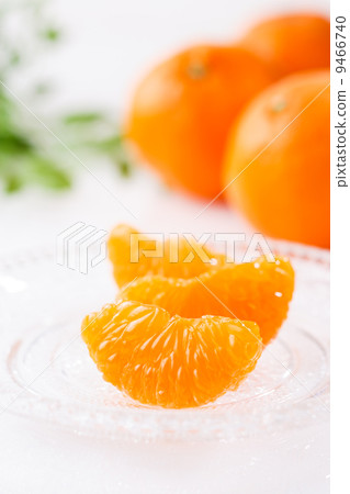 溫州橘子 溫州橘子 9466740