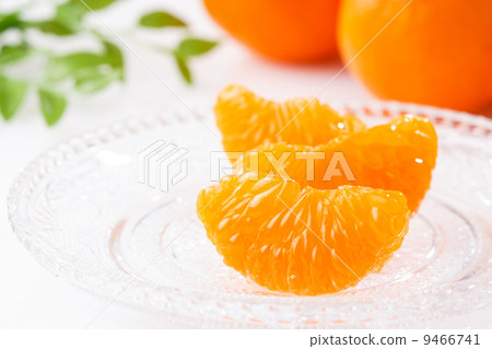 溫州橘子 溫州橘子 9466741