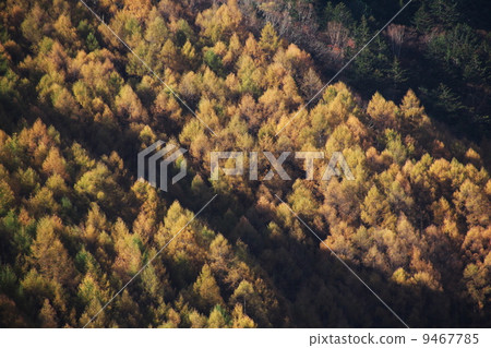 Norikura Kogen秋葉 Norikura Kogen秋葉 9467785